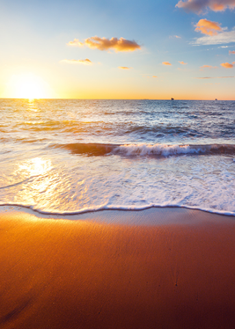 Eclipse Crossbackground